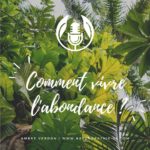 Podcast - comment vivre dans l'abondance